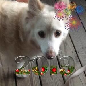 Meet your Posher, Kimmie